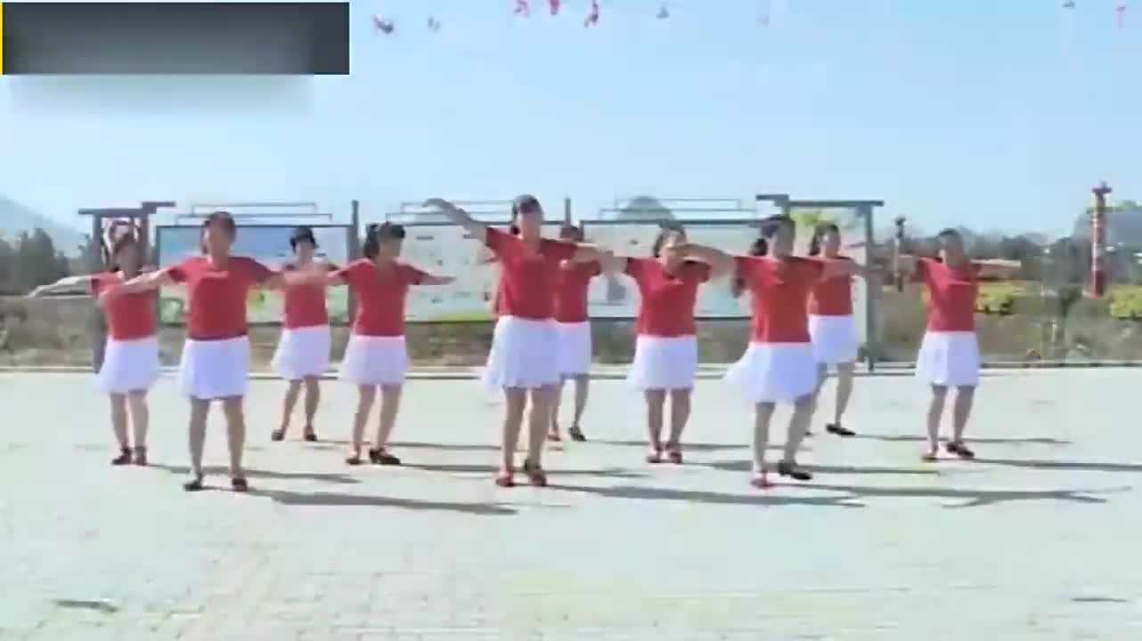 蓝辰骏